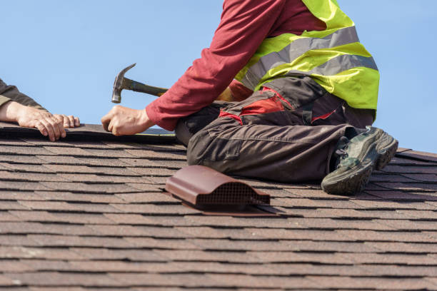 Best Roof Gutter Cleaning  in Tuscumbia, AL