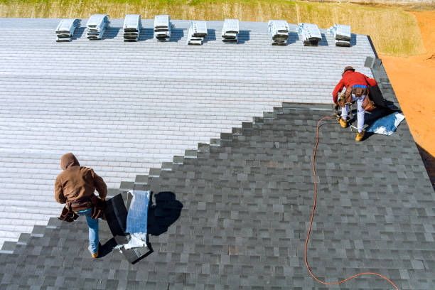 Best Shingle Roofing Installation  in Tuscumbia, AL