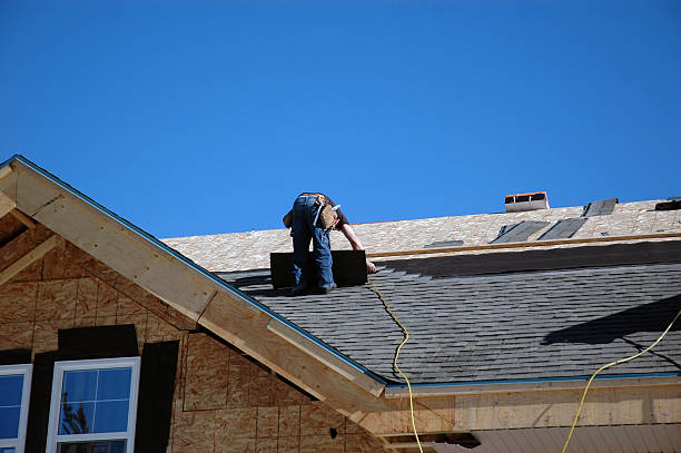 Best Storm Damage Roof Repair  in Tuscumbia, AL