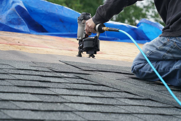 Best Roof Gutter Cleaning  in Tuscumbia, AL