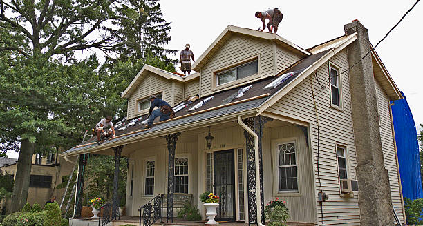 Best Roof Repair Services  in Tuscumbia, AL