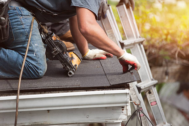 Best Flat Roof Repair Services  in Tuscumbia, AL