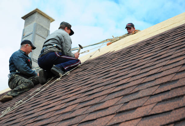Best Roof Replacement Cost  in Tuscumbia, AL