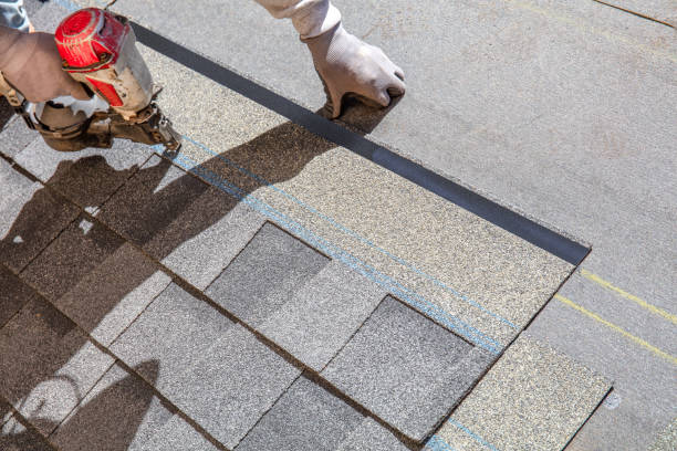 Best Roofing Contractor Near Me  in Tuscumbia, AL