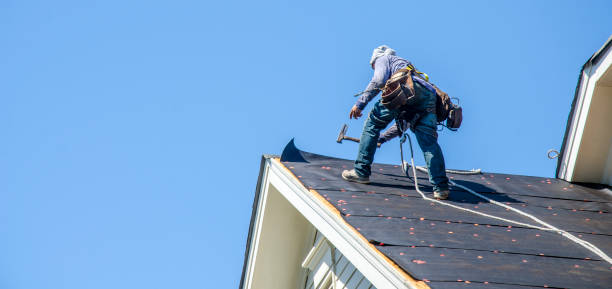 Quick and Trustworthy Emergency Roof Repair Services in Tuscumbia, AL